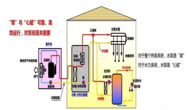 威乐水泵